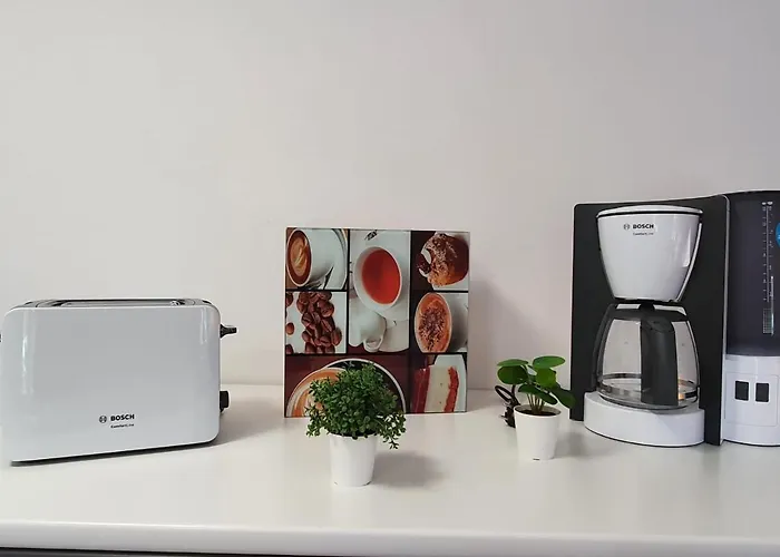 Apartment Zechpreller 2.0 *